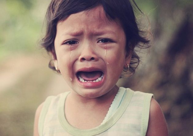 ĸ�H��׌Ů���ϴ�W�ދ닌��������Ӱ푣��ދ븸ĸ�ı��F���