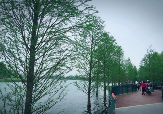 學(xué)大一對一教育靠譜嗎效果好嗎?學(xué)大一對一教育價格如何有多貴?