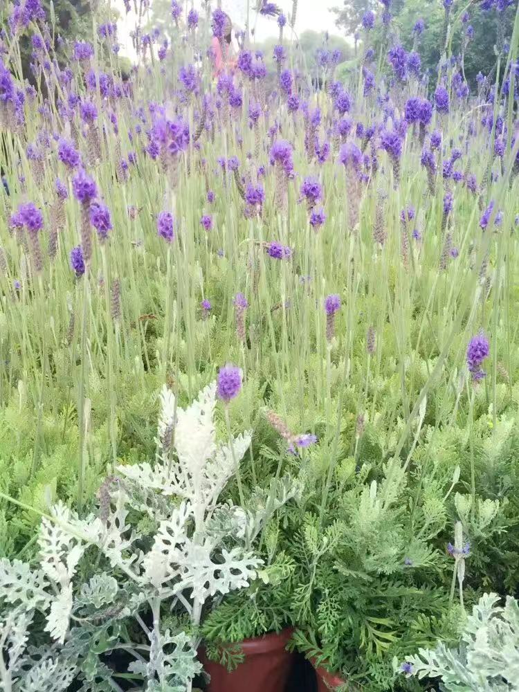 Ů������ʲô�����ã��m��Ů�����L(zh��ng)�÷�(w��n)���Ҹ�н�Ĺ�������