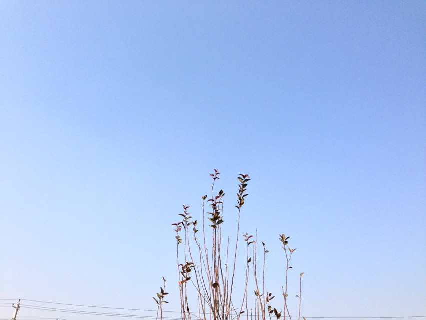 會(huì)計(jì)專碩難考嗎考到230有多難?會(huì)計(jì)專碩考什么科目學(xué)費(fèi)一般多少?