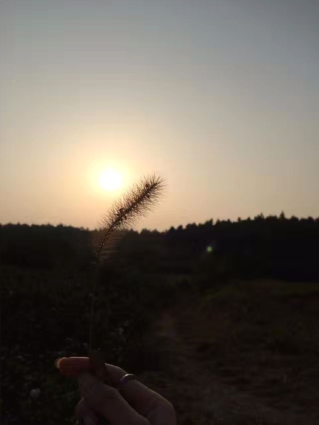 ʿ�ٌWУһ���ώ��ꣿ���I������᣿��ʲô������������