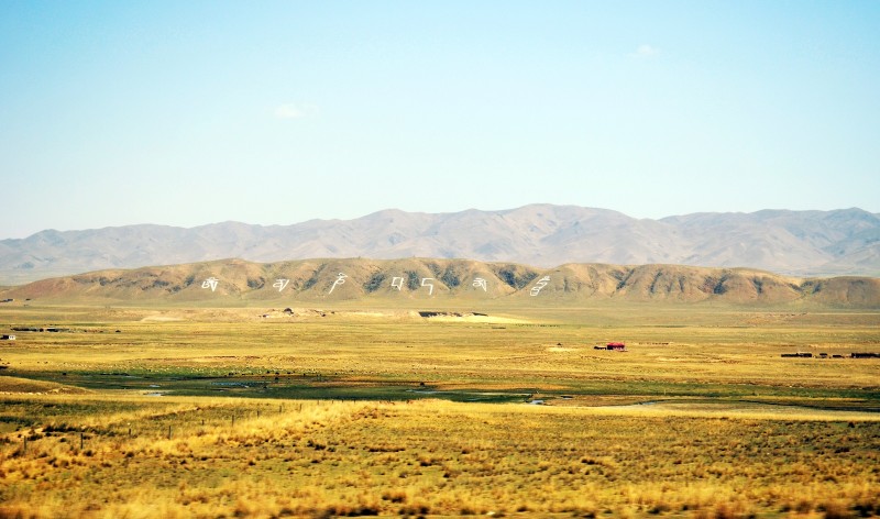 Ƹ���ƺͺ�ͬ�Ƶą^�e��B�Ă����ã�Ƹ��������ʽ�Ć᷀���᣿