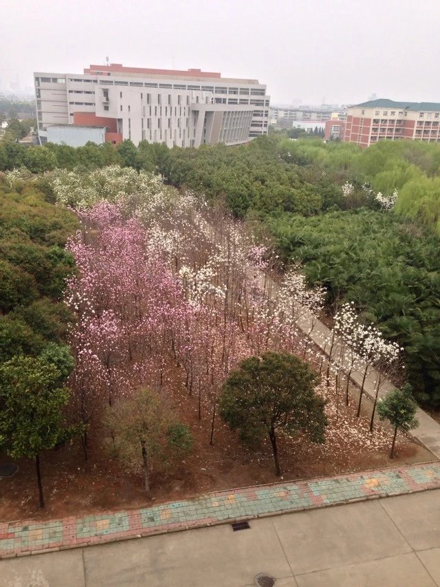 司法考試科目一共有幾門哪門最難考?司法考試時間及報考條件介紹?