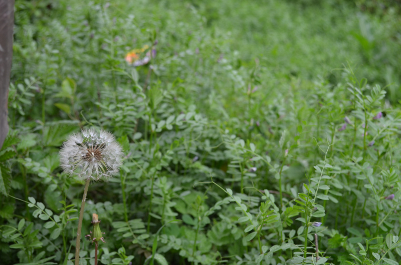 新東方高三補課價目表揭秘?新東方高三一對一有用嗎收費貴不貴?