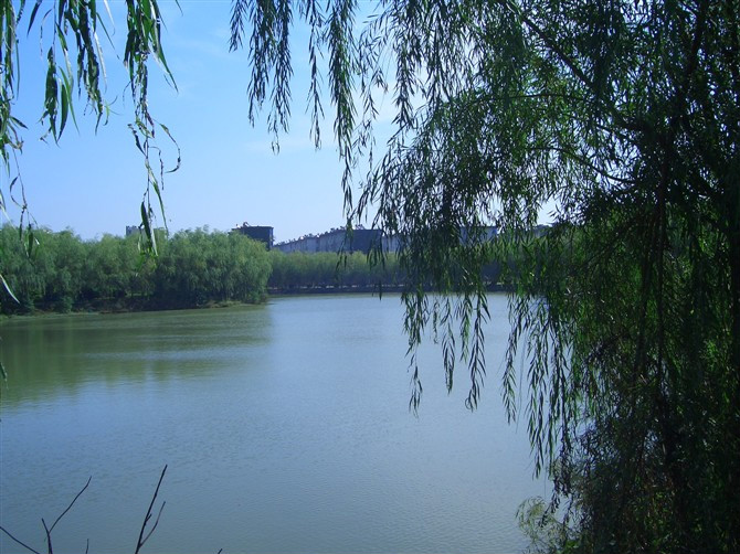 男生學(xué)會(huì)計(jì)好找工作嗎工資一般多少?男會(huì)計(jì)多嗎吃香嗎?