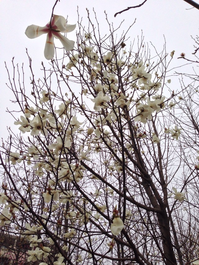 研究生讀完就是碩士嗎?研究生和碩士的區(qū)別介紹?研究生是幾年畢業(yè)