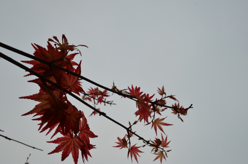 高中補(bǔ)課去新東方好嗎?新東方高三補(bǔ)課貴不貴一對一有用嗎?