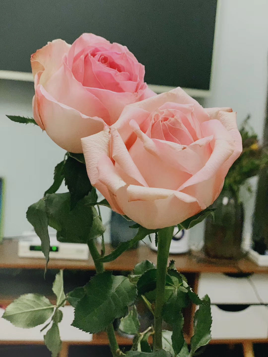 ���Z(y��)�Ў׼�(j��)?���Z(y��)n3��ʲôˮƽ�����Z(y��)����(j��)��ĵȼ�(j��)����ô���ֵ���