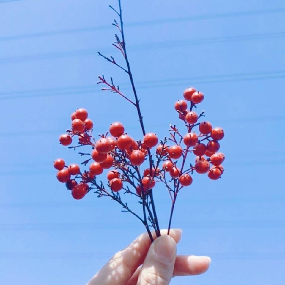 計(jì)算機(jī)屬于工學(xué)還是理學(xué)?工學(xué)和理學(xué)有什么區(qū)別?計(jì)算機(jī)有哪些專業(yè)