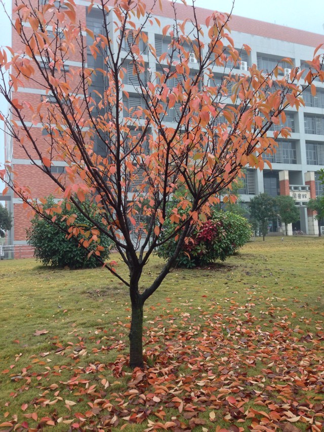 ��˼�m����Щ�˿�����ͨ�˿���˼���Æ᣿