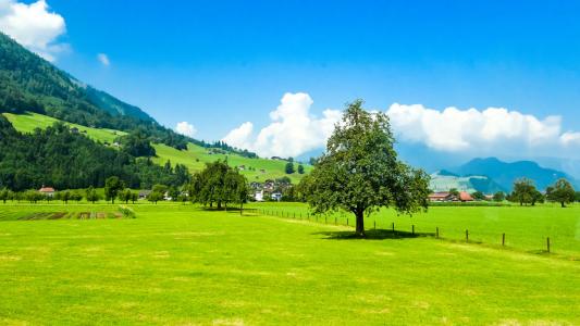 Ӣ�Zһ���Ўׂ��ȼ���Ӣ�Z��������ʲôˮƽ������������y���y